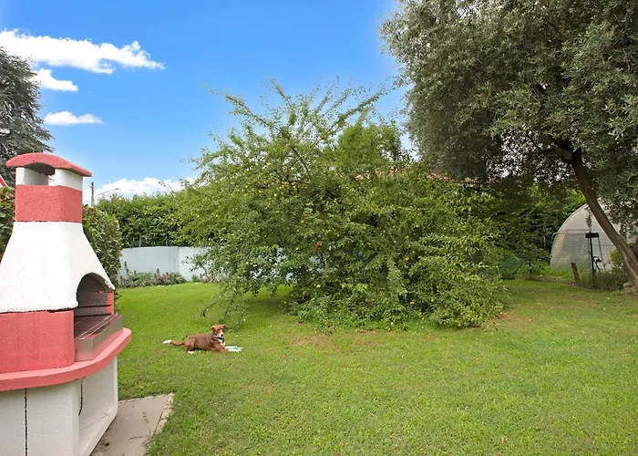 Lägenhet Connie's - Happy *