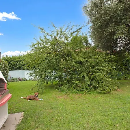 Апартаменты Connie's - Happy *